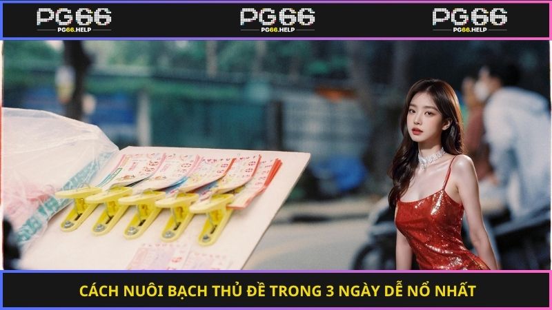 Cách nuôi bạch thủ đề trong 3 ngày dễ nổ nhất